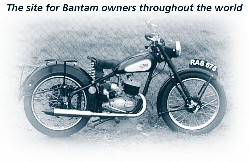 Bantam vignette duotone.jpg